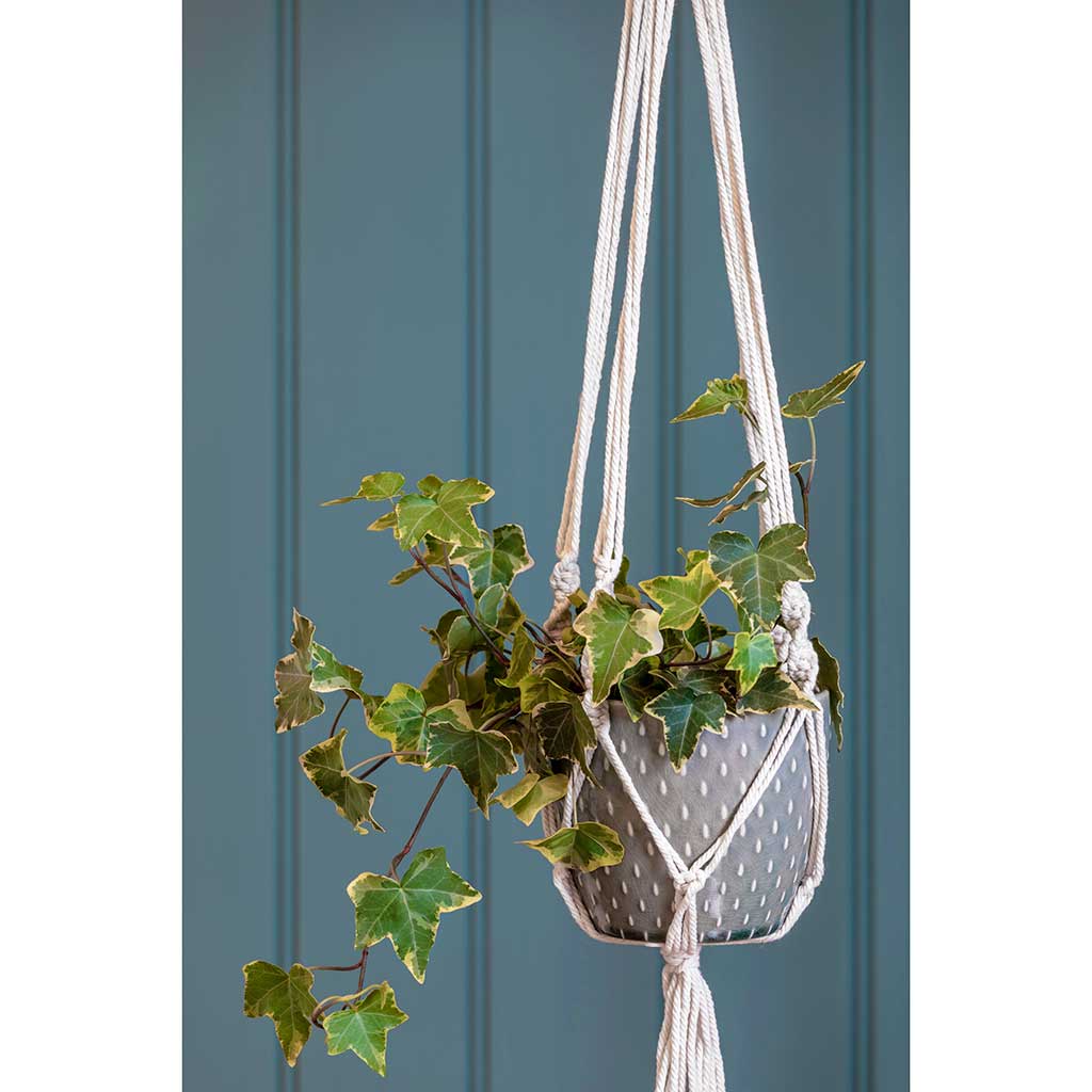 Macrame Hanging Indoor Plant Pots | Hortology