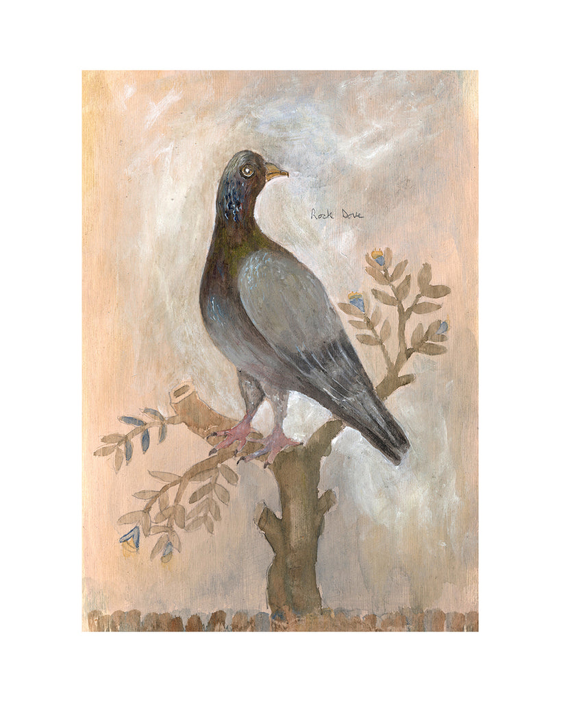 dove painting