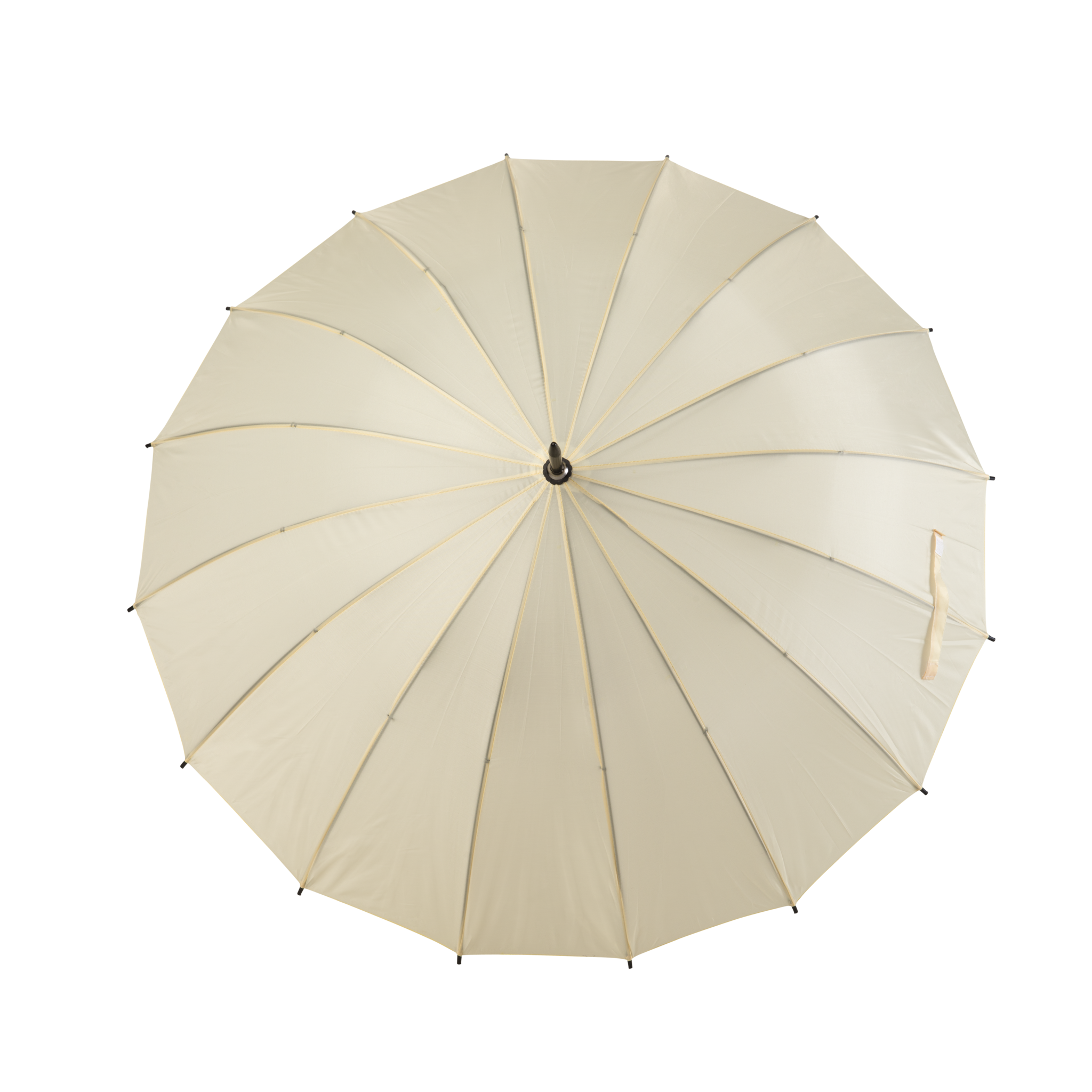 large ivory umbrella