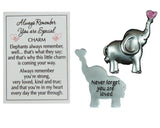 You Are Special Elephant Pocket Charm w/ Loving Message & Story Card