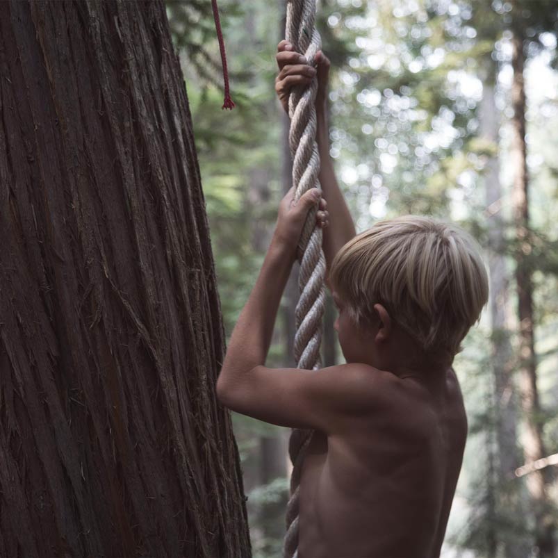 Boy climbing rope swing