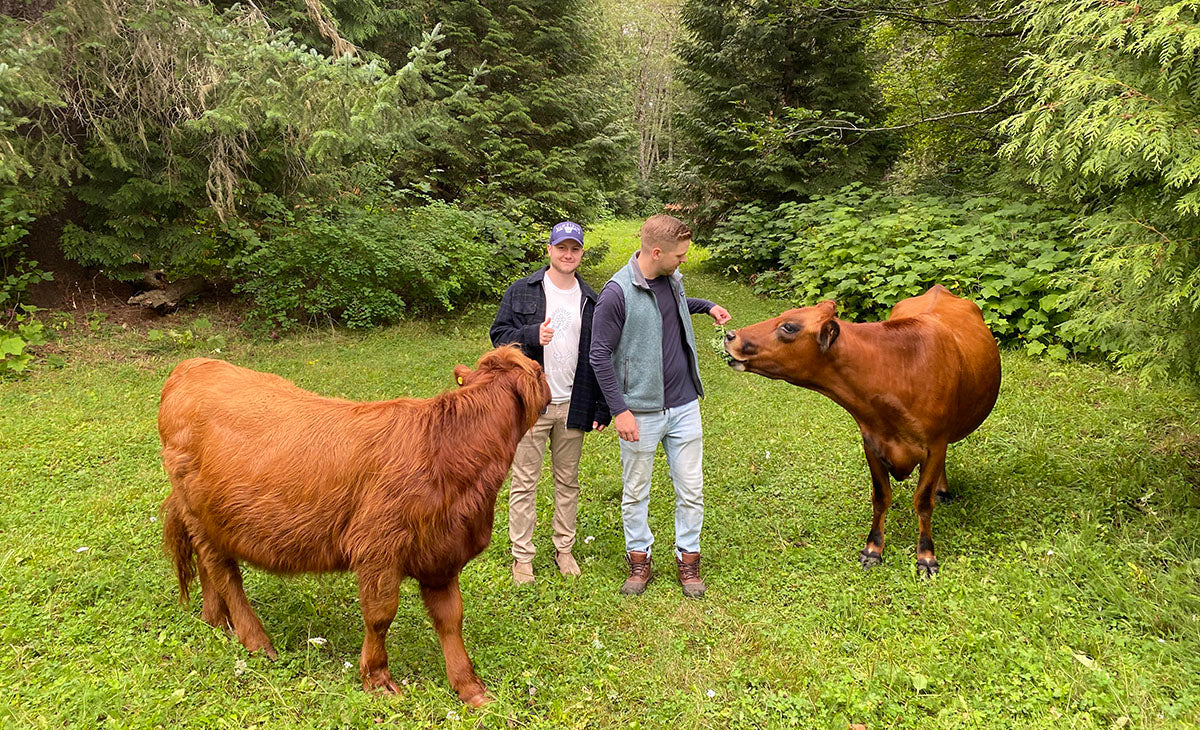 Scott and Kyle from The Graham Avenue Podcast stand with two cows on green grass, surrounded by trees in Terrace, British Columbia.