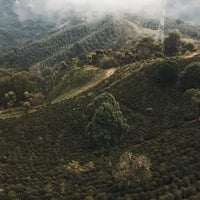 Mexico El Aguacate