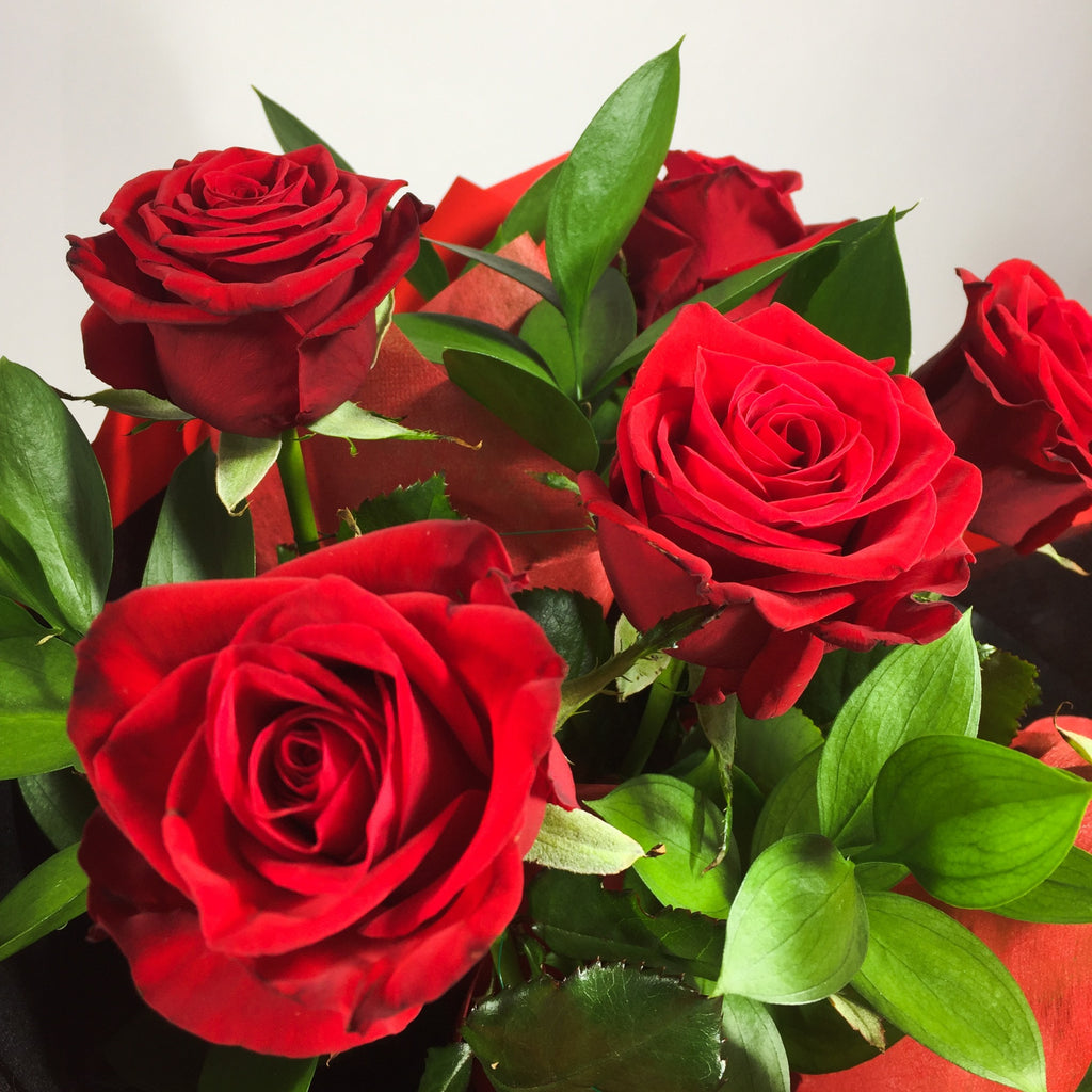 Six Red Roses - Valentine's Day and Anniversary Flowers in Wellington ...