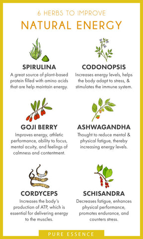 infographic showing "6 herbs to improve natural energy" - spirulina, codonopsis, goji berry, ashwagandha, cordyceps, and schisandra