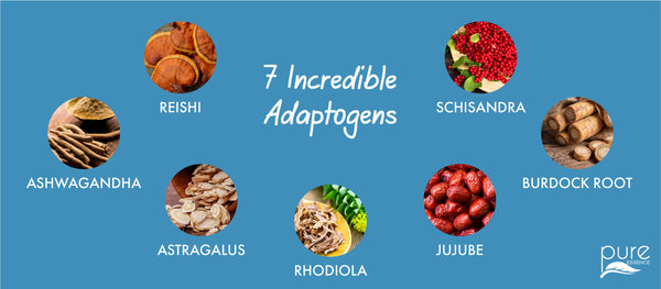 7 Incredible Adaptogens infographic showing reishi, schisandra, burdock root, jujube, rhodiola, astragalus, and ashwagandha