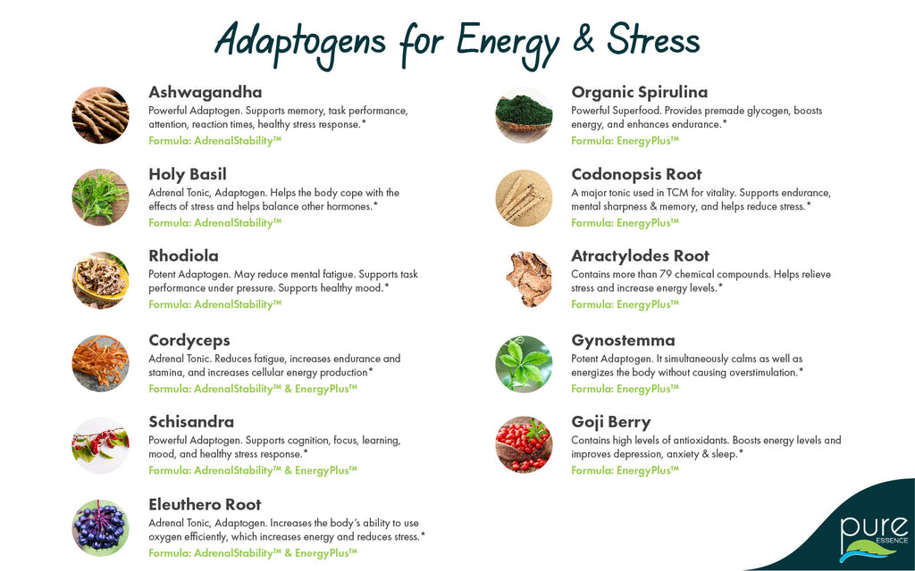 infographic showing different adaptogens and how they help