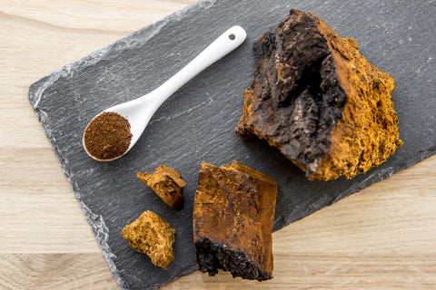 Chaga nuggets