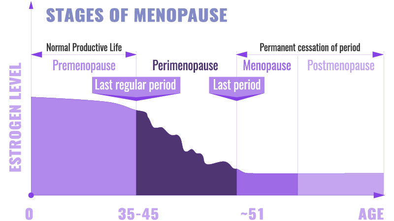 Chart showing estrogen levels throughout the stages of menopause