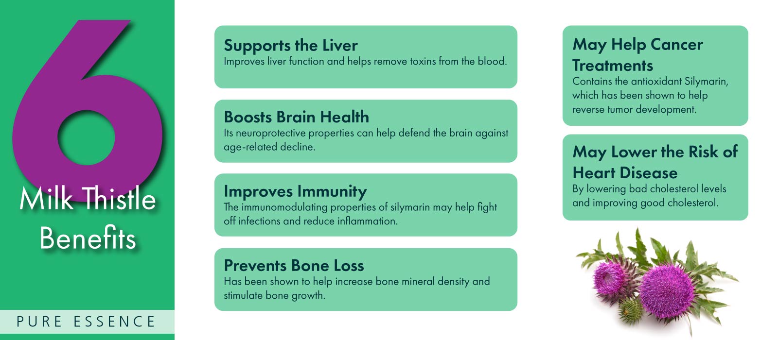 Infographic image of 6 benefits of milk thistle