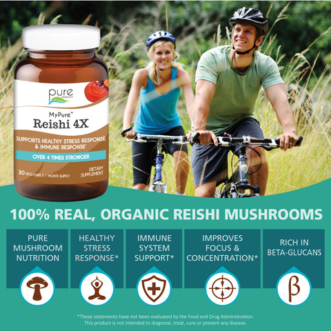 MyPure Reishi 4X benefits