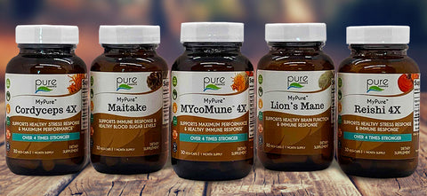 Line up of MyPure Mushroom Product bottles displayed on wooden platform