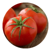 Tomatoes - source of quercetin