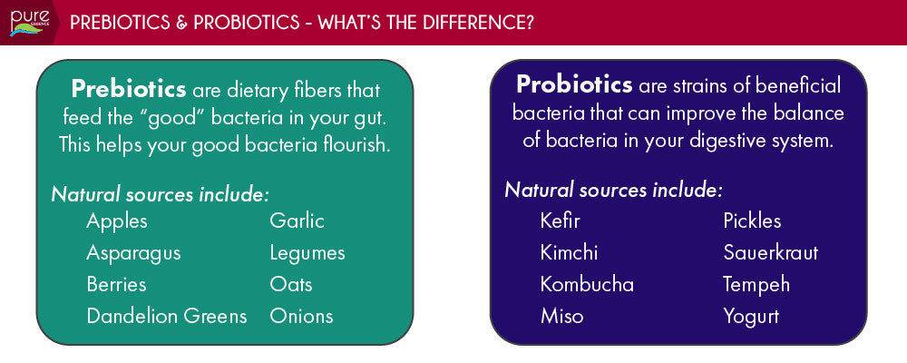 Prebiotic and Probiotic infographic