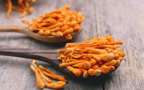 Cordyceps mushroom high in beta-glucans