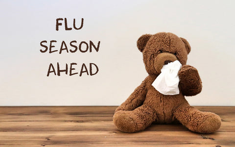 Teddy bear with tissue in front of nose next to sign that says, "Flu Season Ahead"