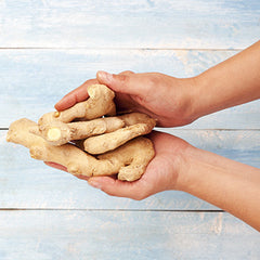 Hands holding Ginger