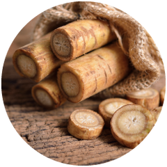 Burdock Root