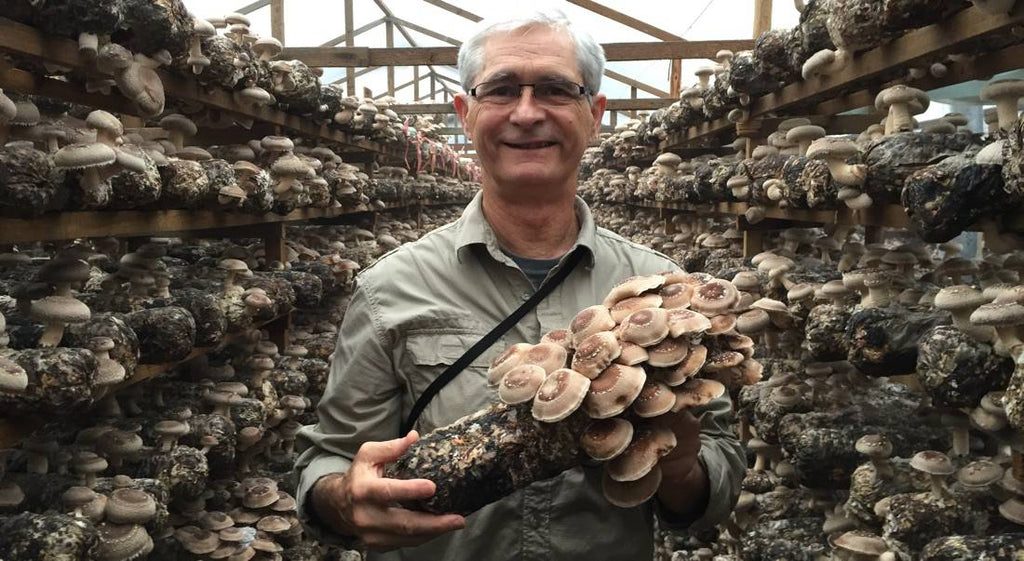 Nammex Founder Jeff Chilton mushroom pioneer holding a log with growing shiitake inside his mushroom farm