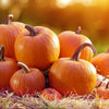 pile of pumpkins outside