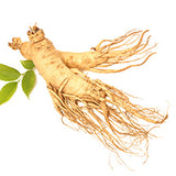 Ginseng supports healthy stress response