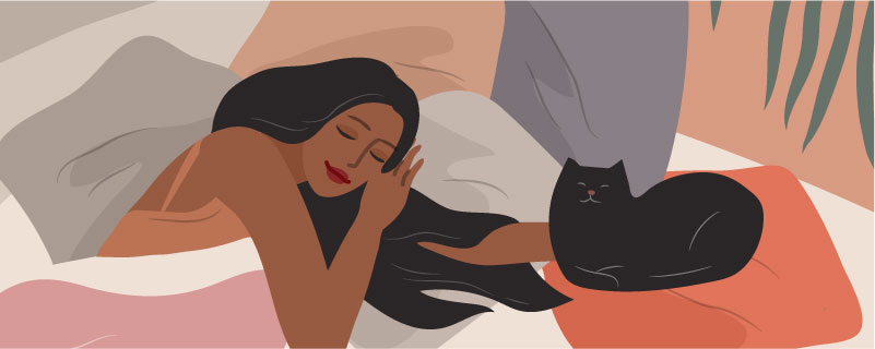 illustration of sleeping woman and cat