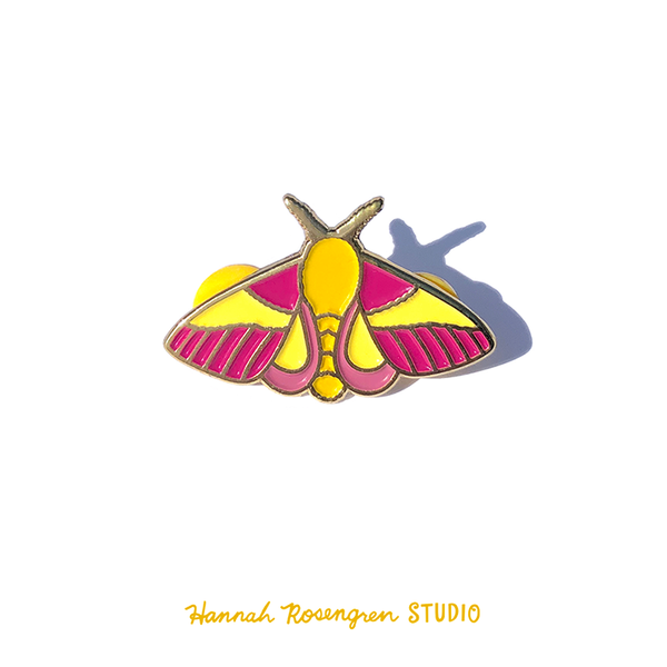 rosy maple moth pinned