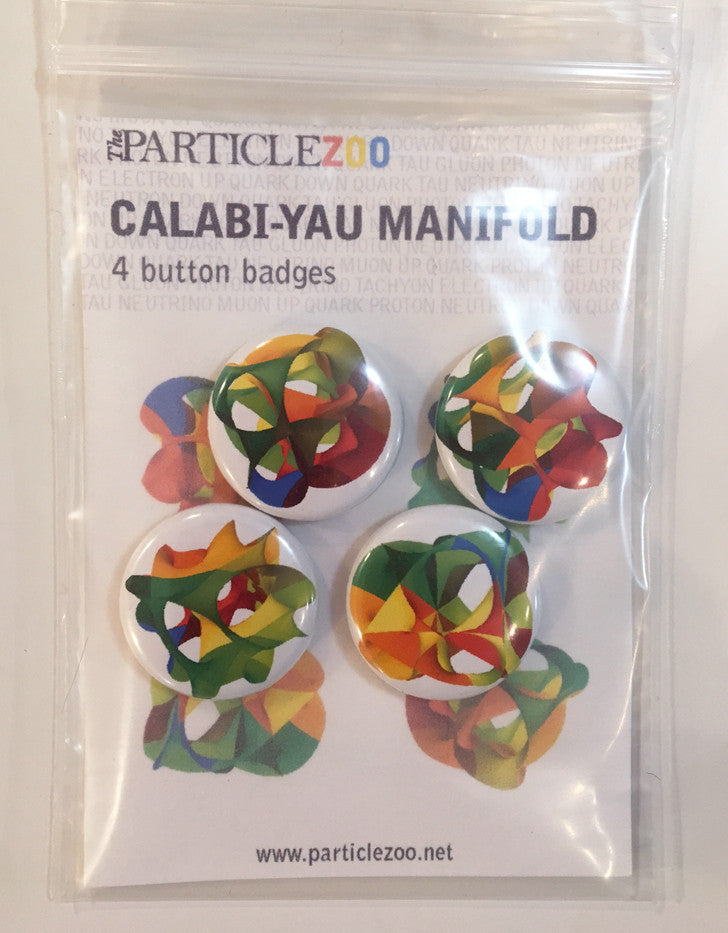 calabi yau manifold