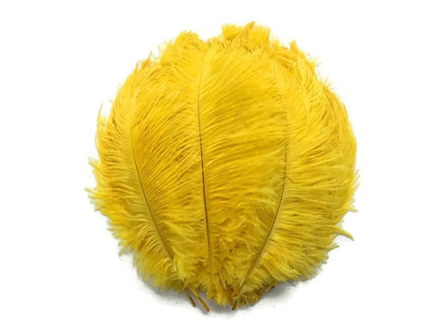 Ostrich Drab Feathers