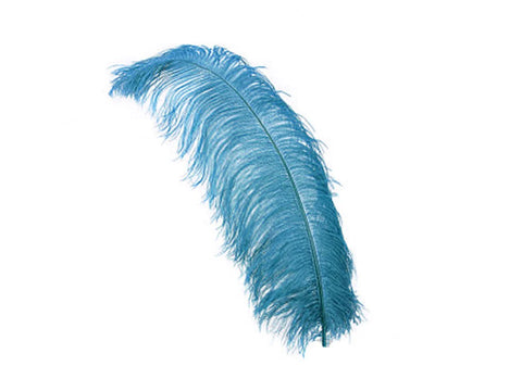 Ostrich Wing Feather