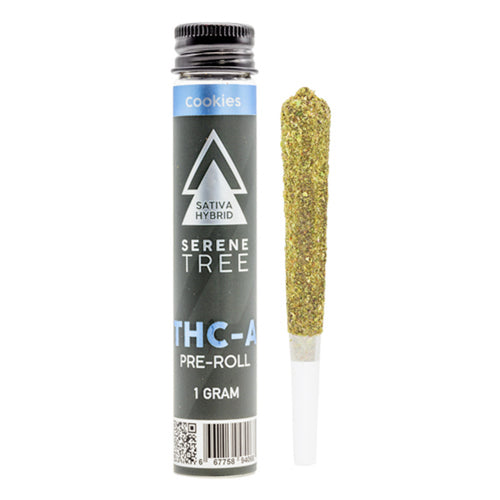 Serene Tree THCa Infused Pre-Roll 1g