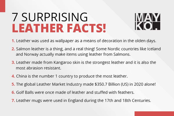 7 Surprising Leather Facts 