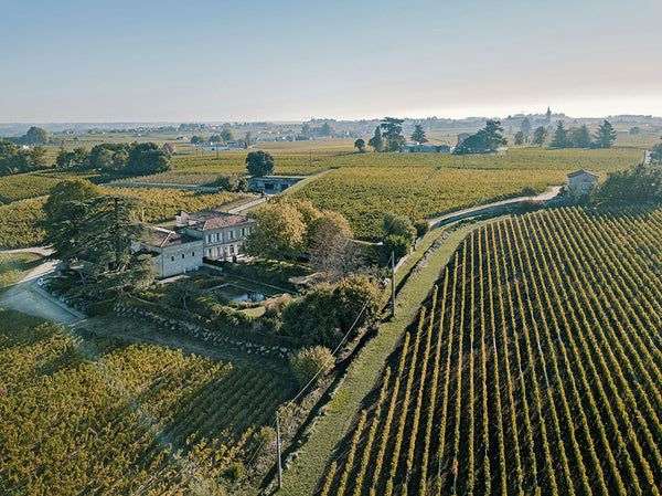 Château Franc Mayne winery