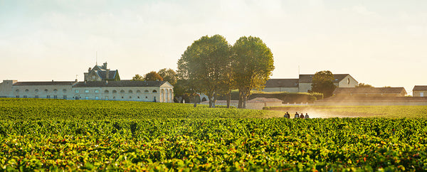 Château Mouton Rothschild winery