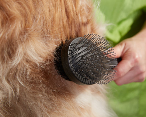 Grooming pin brushes for pets