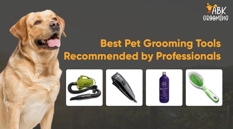 Best Pet Grooming Tools