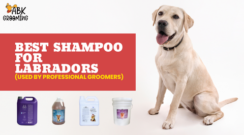 Best shampoo for a Labradors (Used by professional groomers)