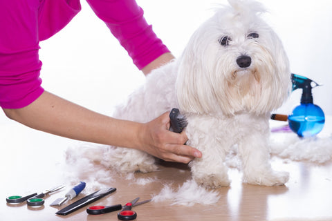 Using right grooming tools