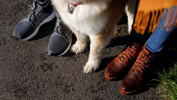 Protective boots for pets, Protective shoes for pets, Shoes for dogs