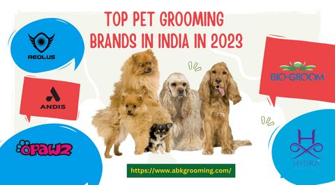 Top Dog Grooming Brands in India in 2023