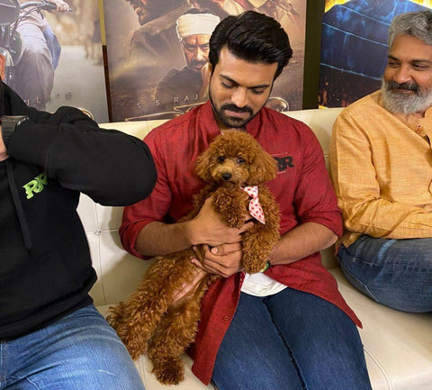  RRR Actor Ram Charan & Rhyme - An adorable duo: abkgrooming.com