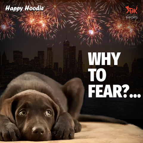 Stress-Relief Solution: Happy Hoodie for Dogs and Cats