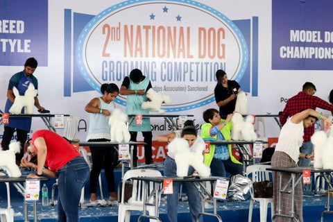 Day 2 Pet Grooming Competition 2018