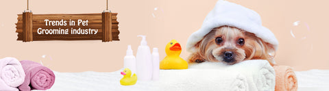 Trends in pet grooming industry: abkgrooming.com