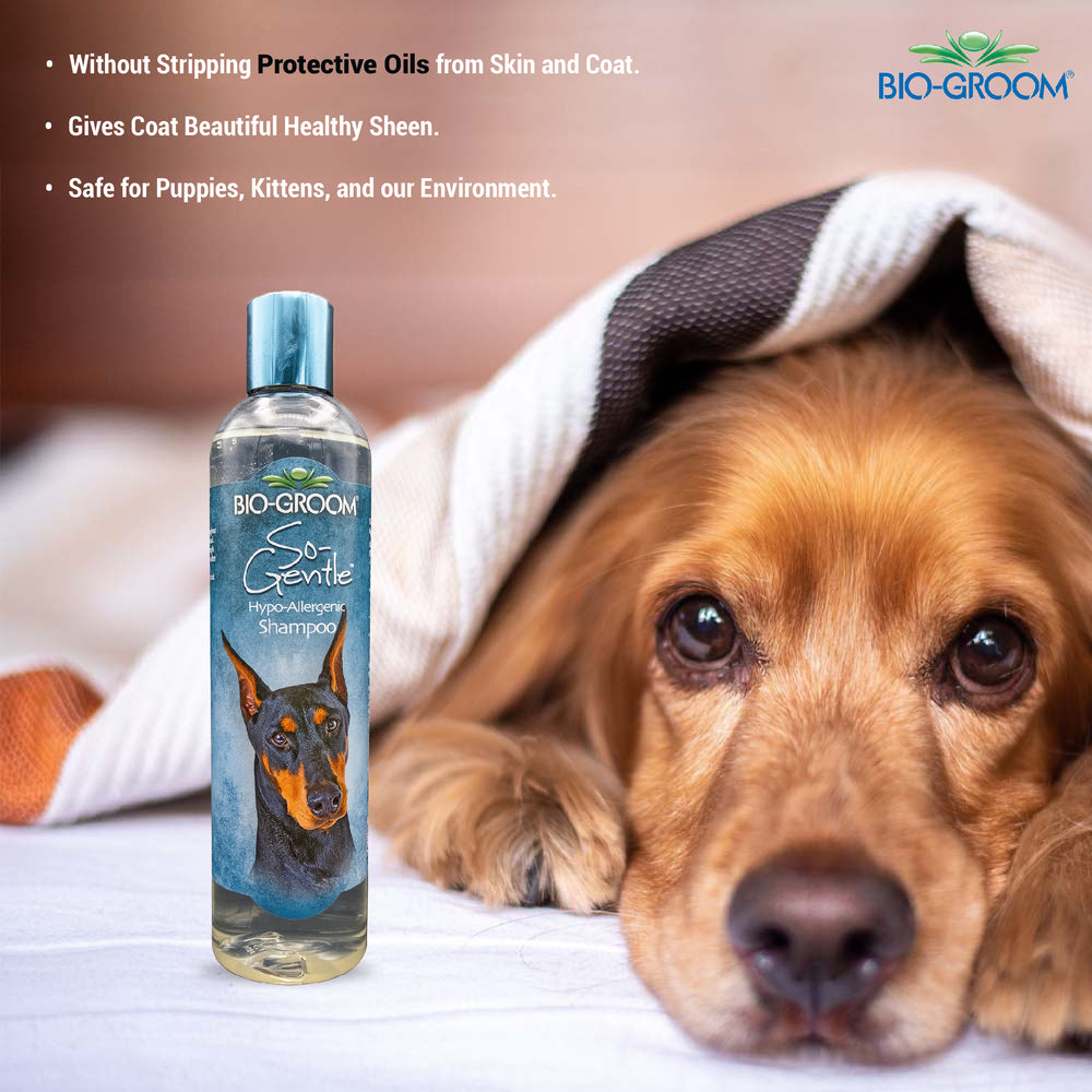 EZ Groom Maximum Impact Dog Shampoo - Concentrated