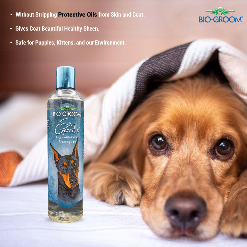 Neutral Shampoo for Dogs  Dog & Cat - Perigot Pet USA