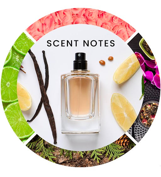 Scent notes for Midnight Fantasy Eau de Parfum Spray for Women by Britney Spears