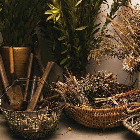 la basketry basket finds maggie coker flower talk official