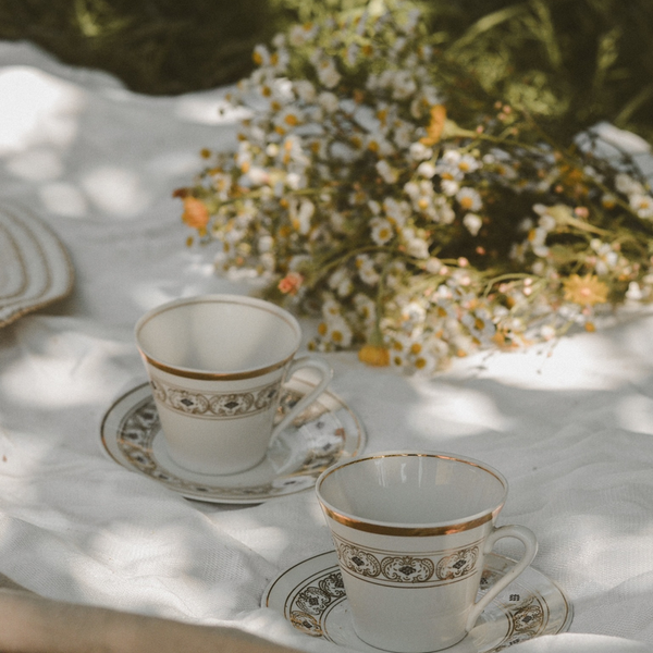 China cups on a picnic blanket outside