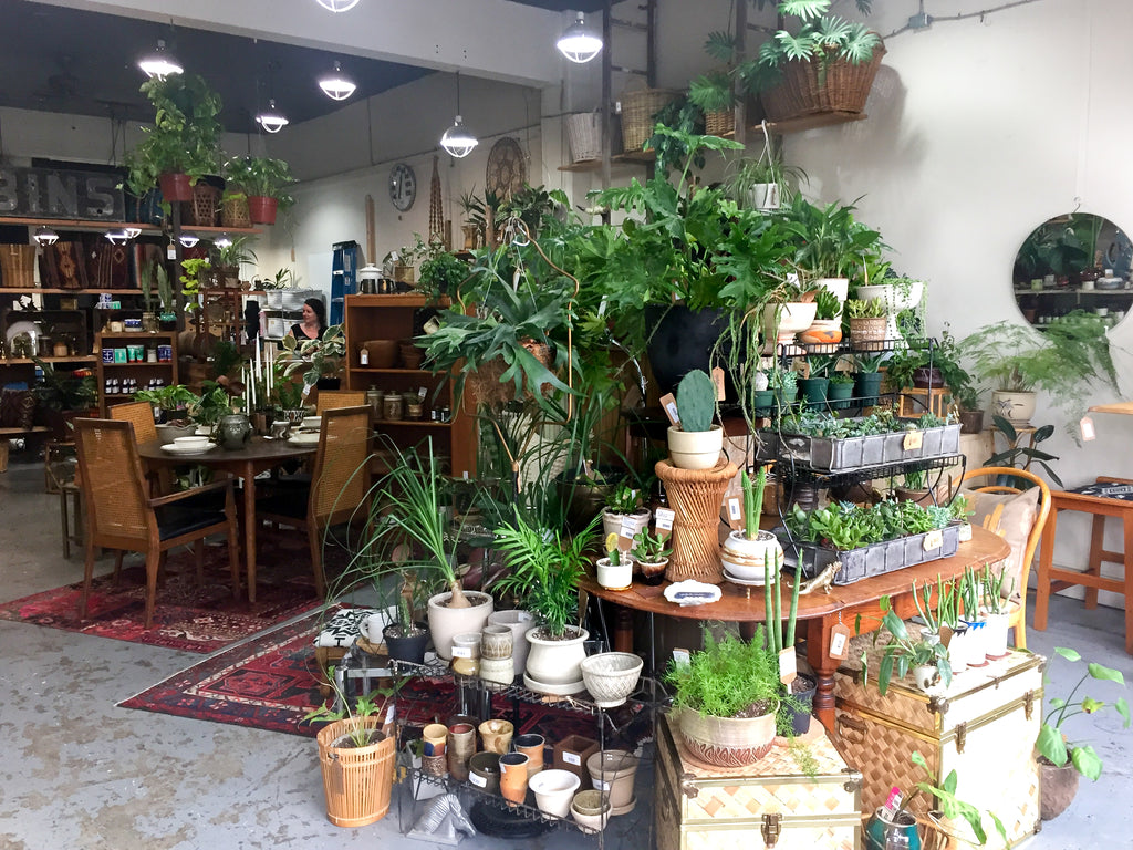 Appetite Shop in Portland, Oregon carries house made textiles and houseplants.